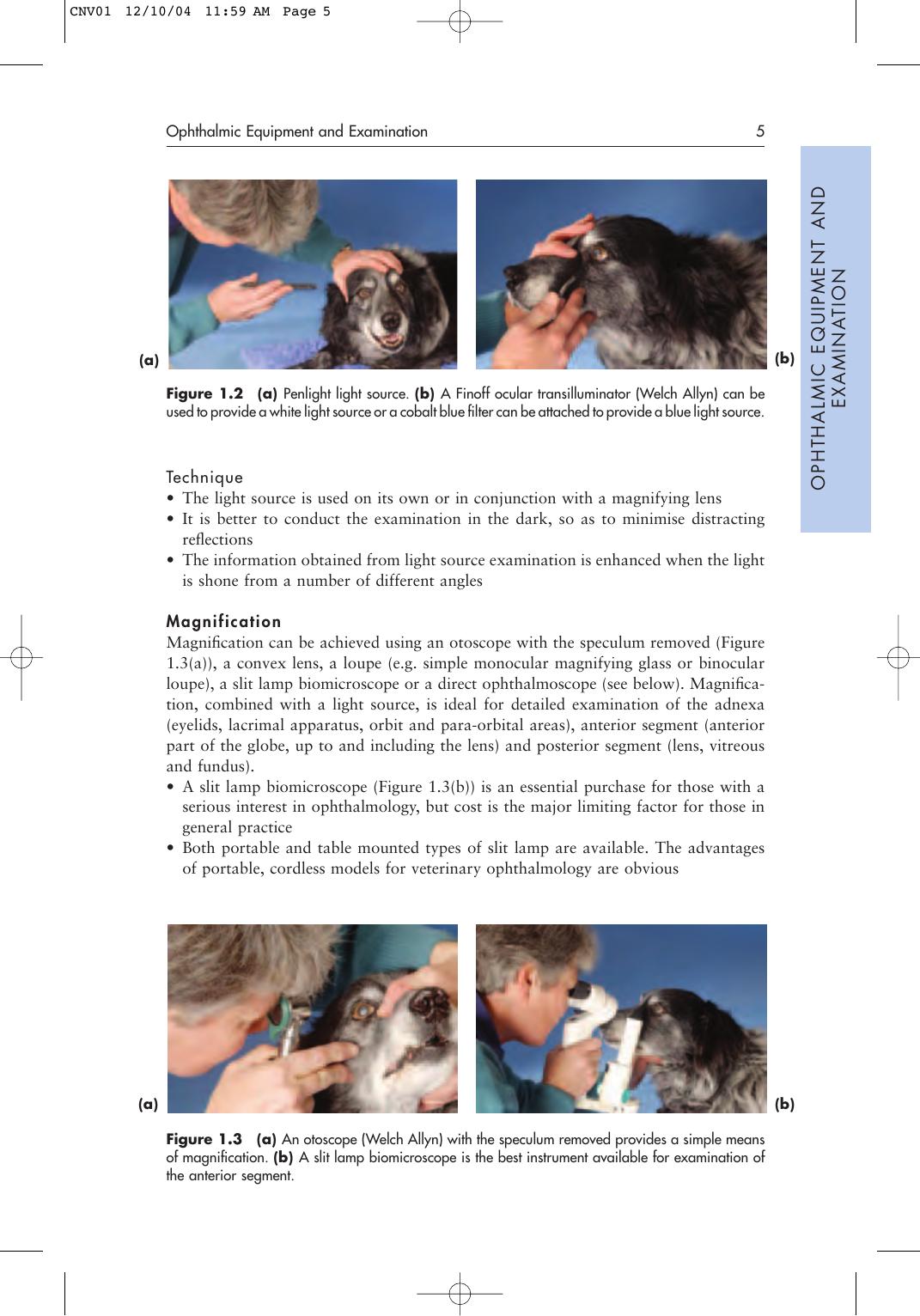 Notes On Veterinary Ophthalmology
