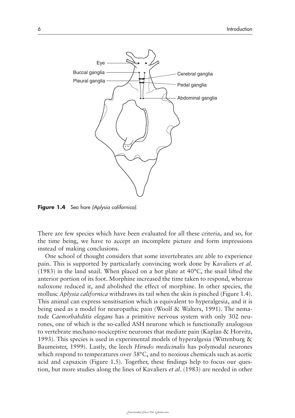 Physiology And Behaviour Of Animal Suffering
