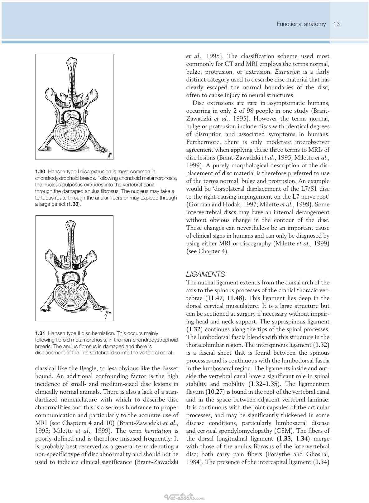 Small Animal Spinal Disorders Diagnosis And Surgery 2Nd Edition