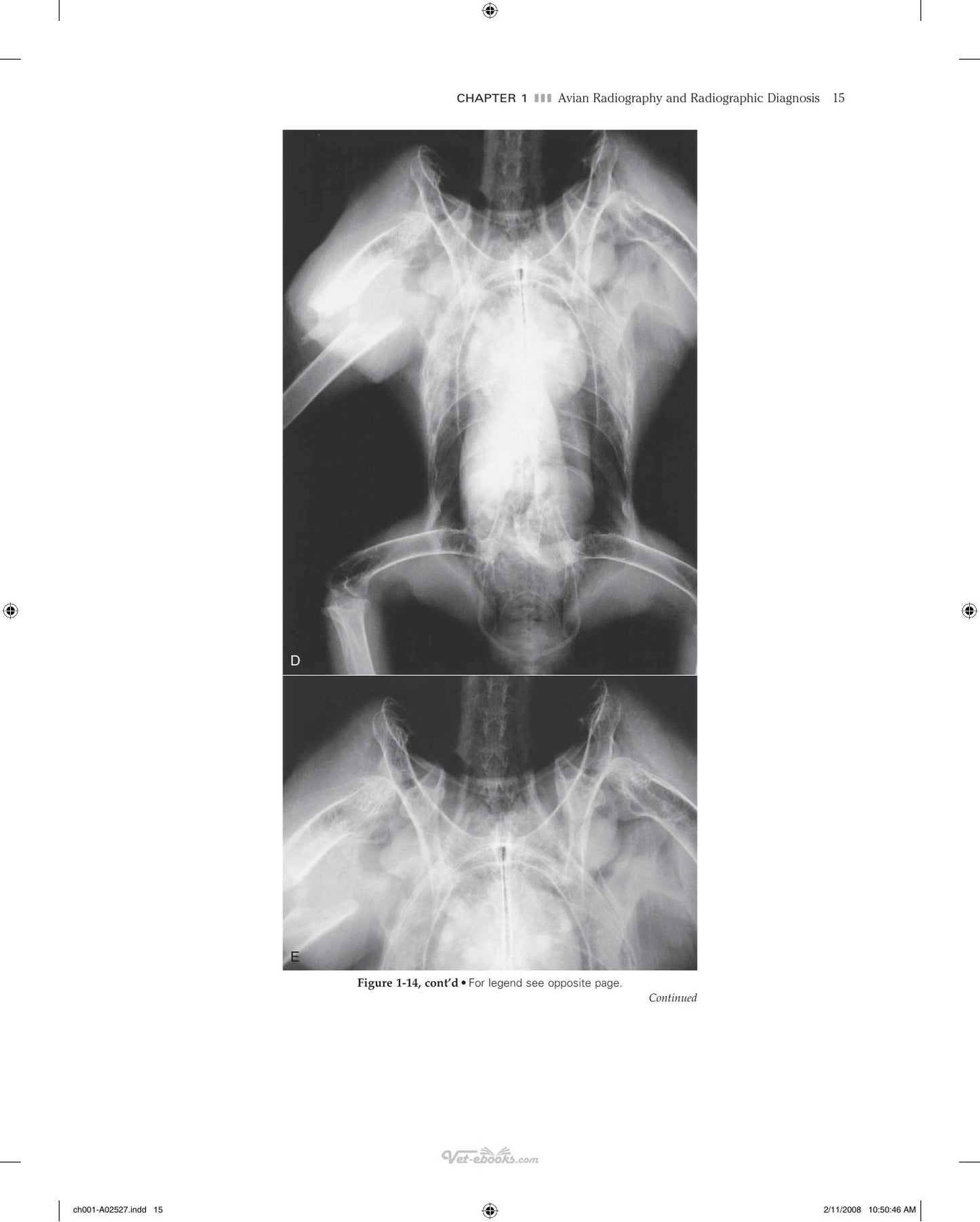 Veterinary Diagnostic Imaging Birds Exotic Pets And Wildlife