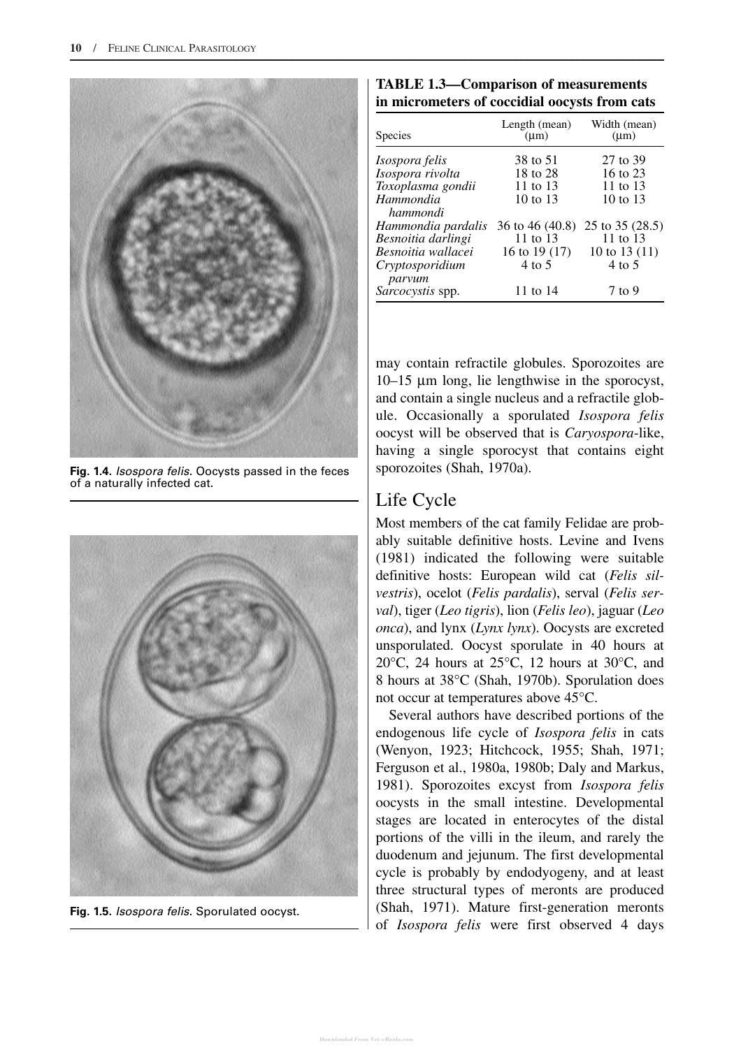 Feline Clinical Parasitology