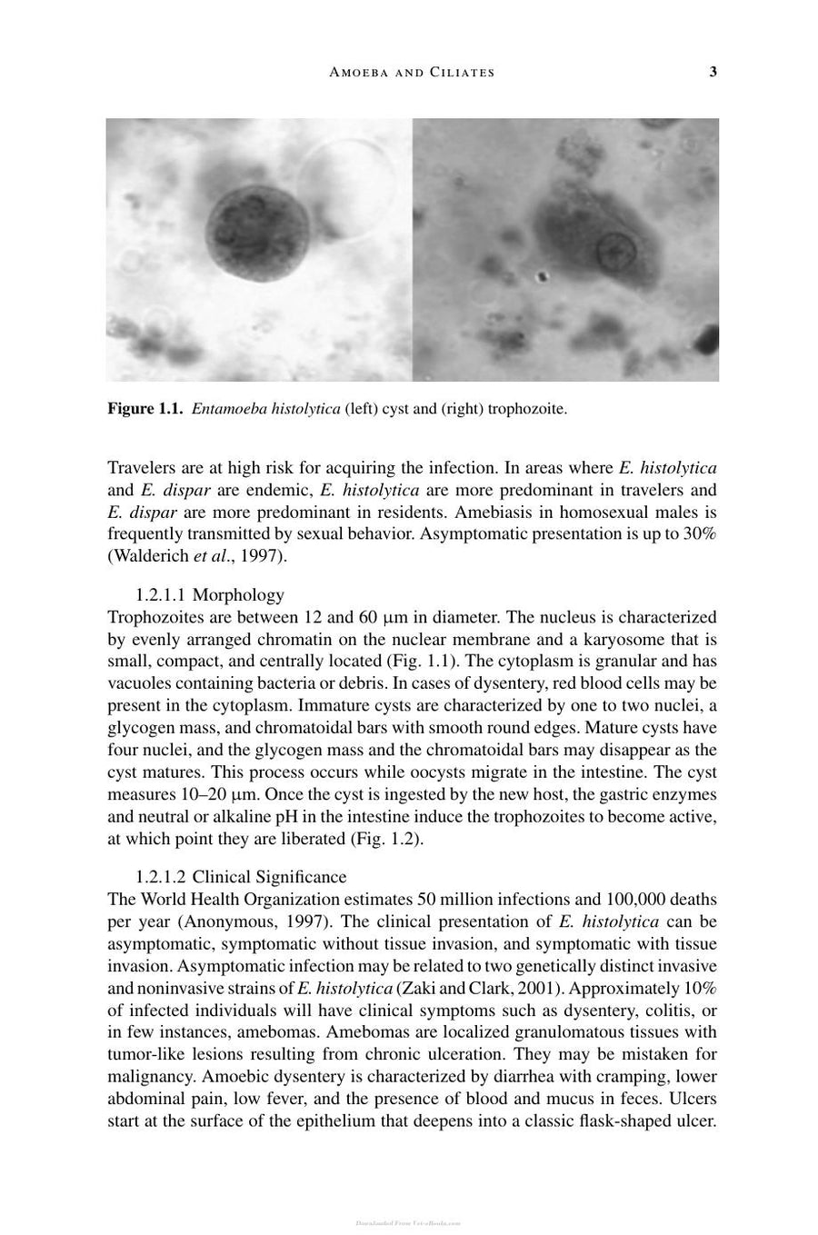 Preview page of Ortega Foodborne Parasites PDF