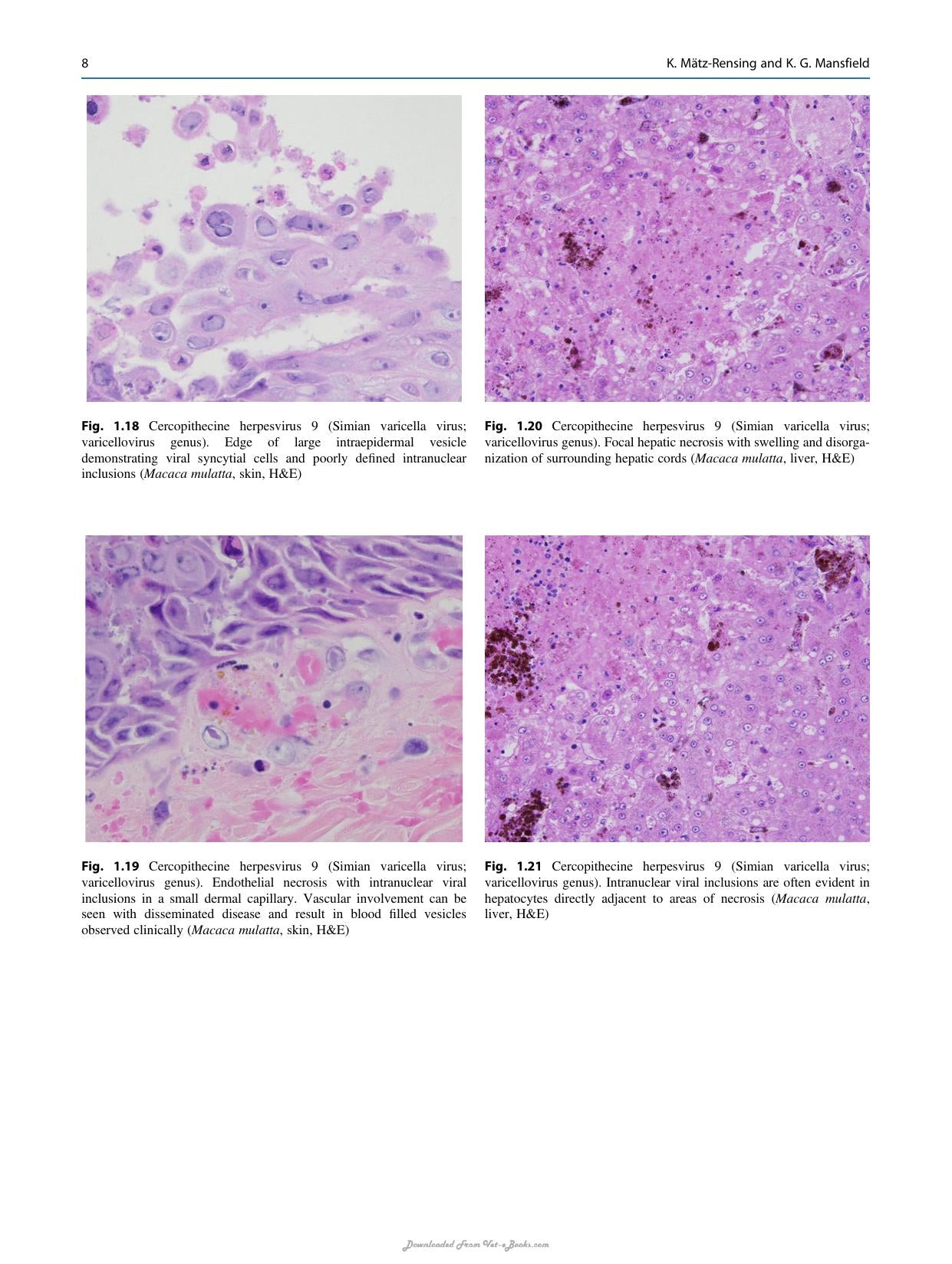 Atlas Of Diagnostic Pathology In Nonhuman Primates