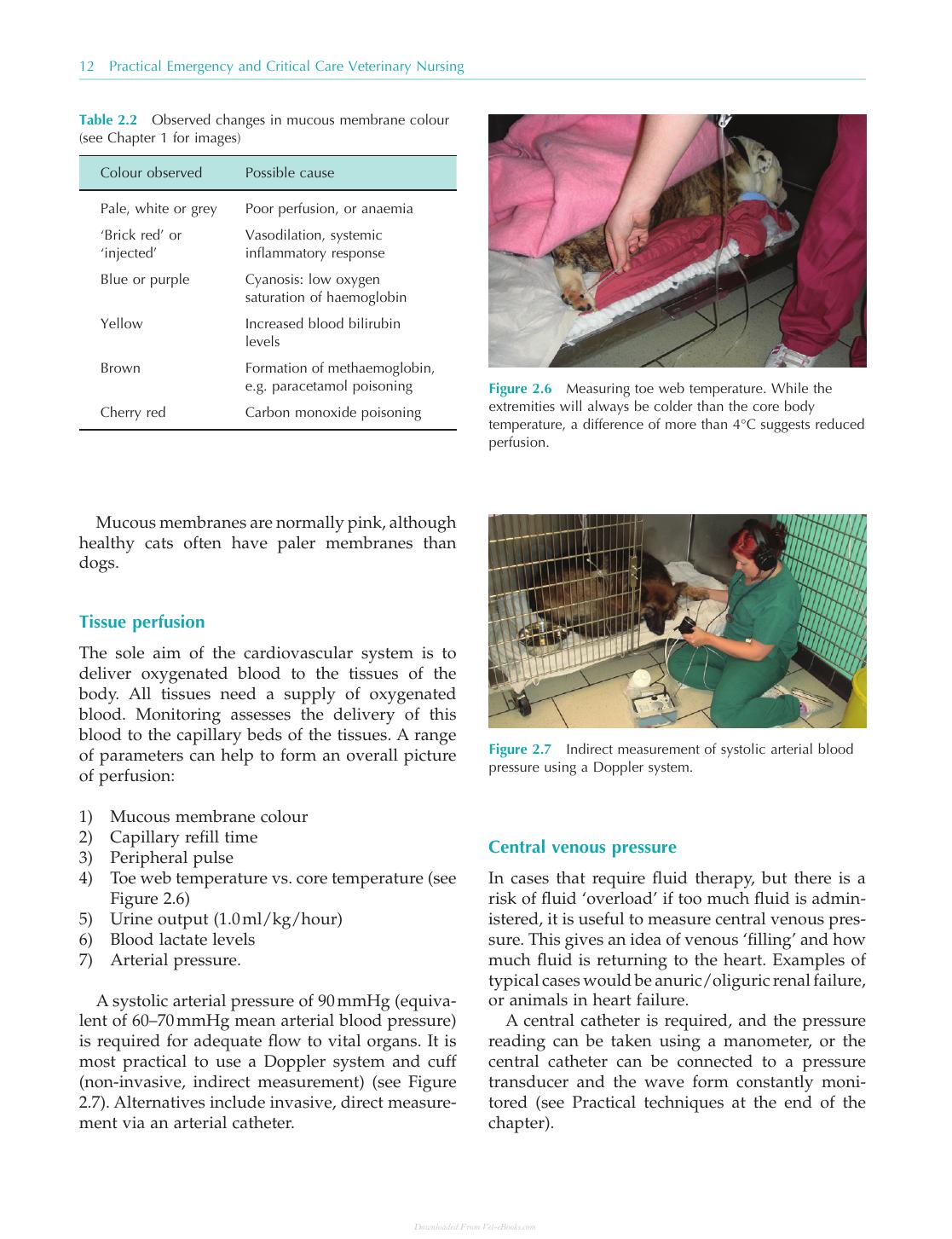 Practical Emergency And Critical Care Veterinary Nursing