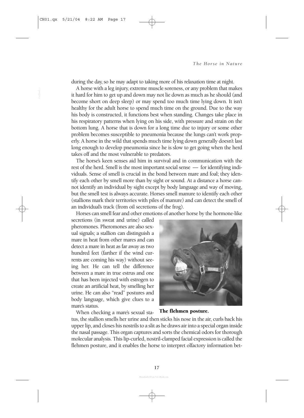 Care And Management Of Horses A Practical Guide For The Horse Owner