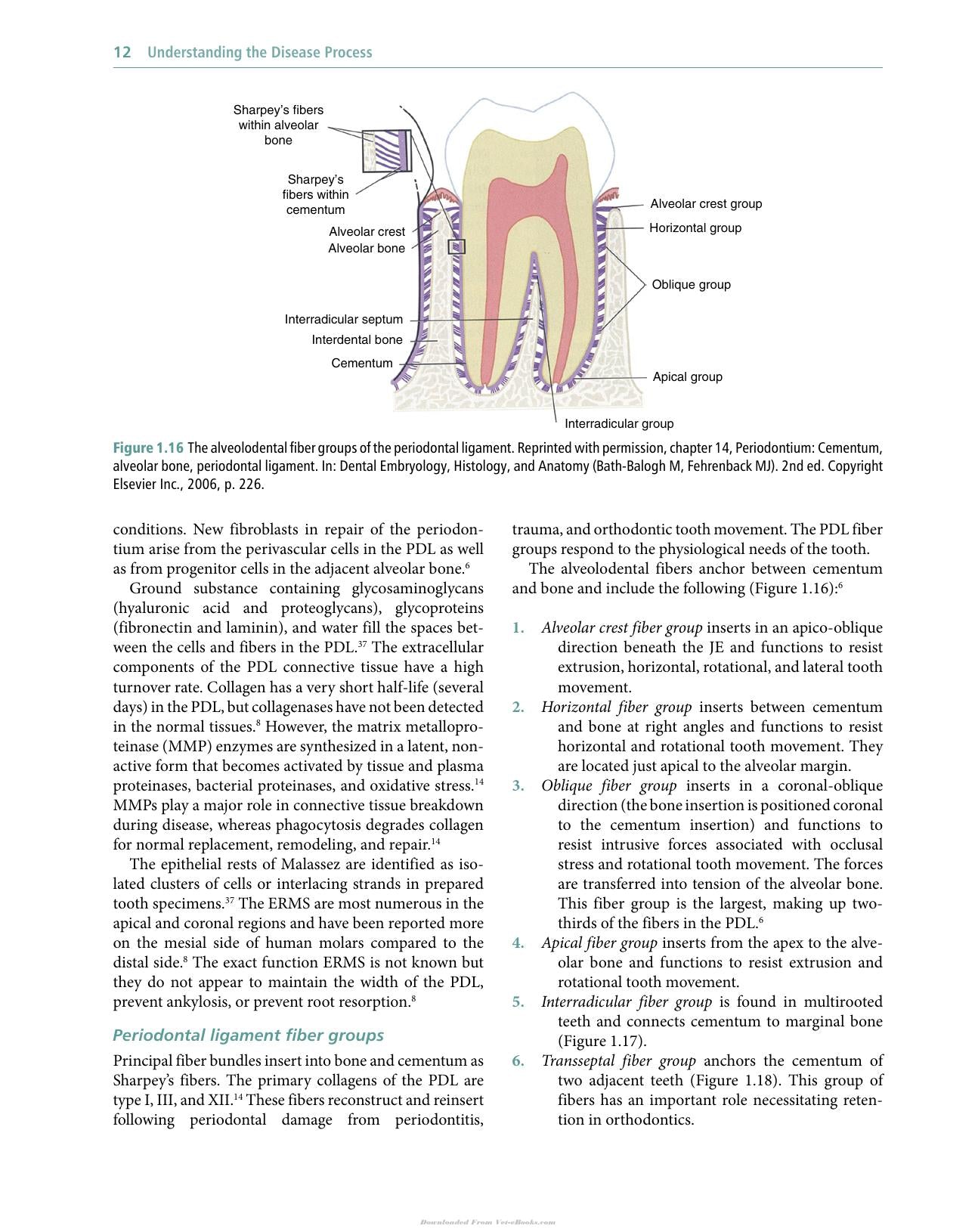 Veterinary Periodontology
