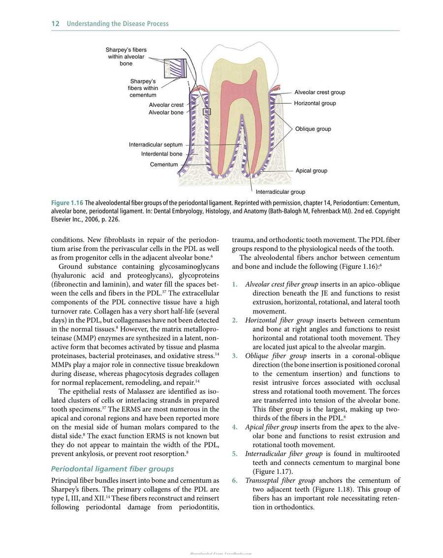 Preview page of Veterinary Periodontology