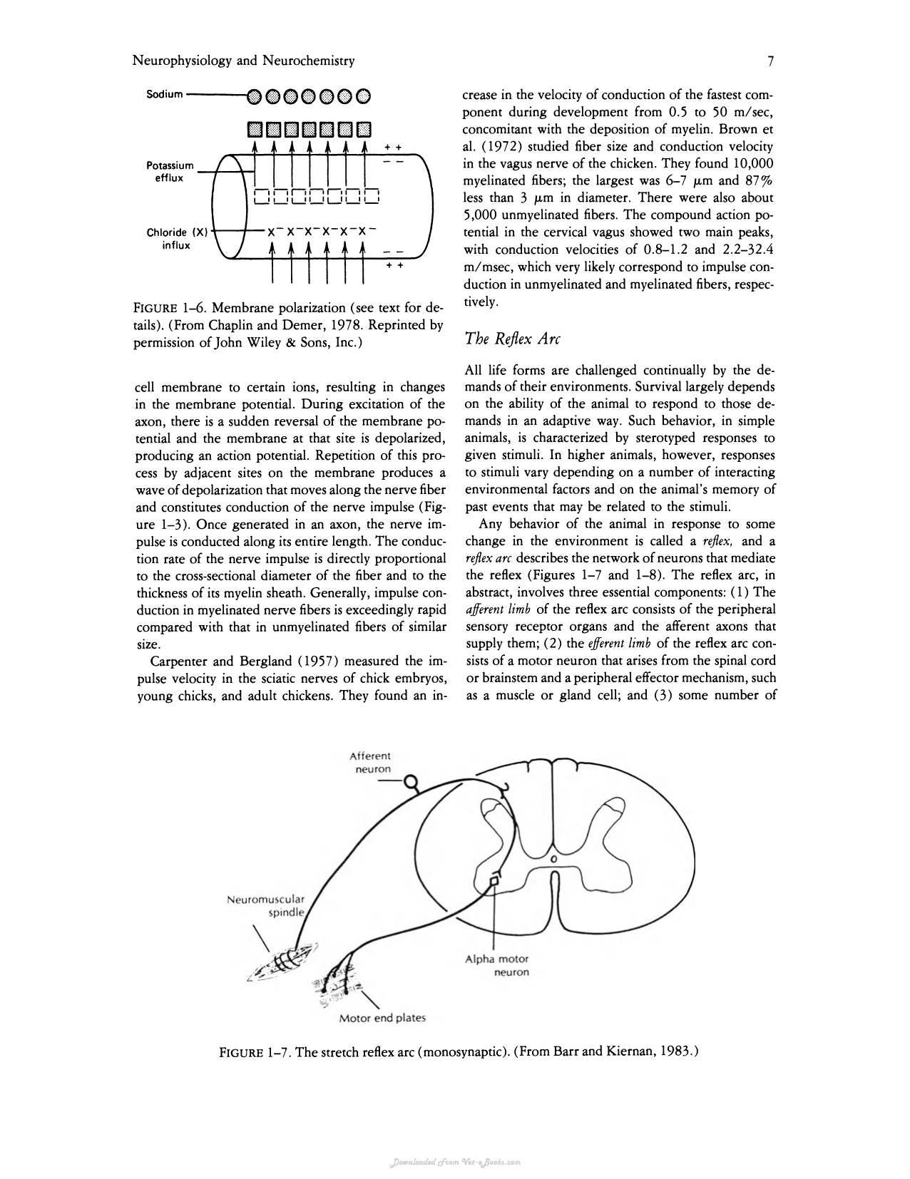 Avian Physiology 4Th Edition