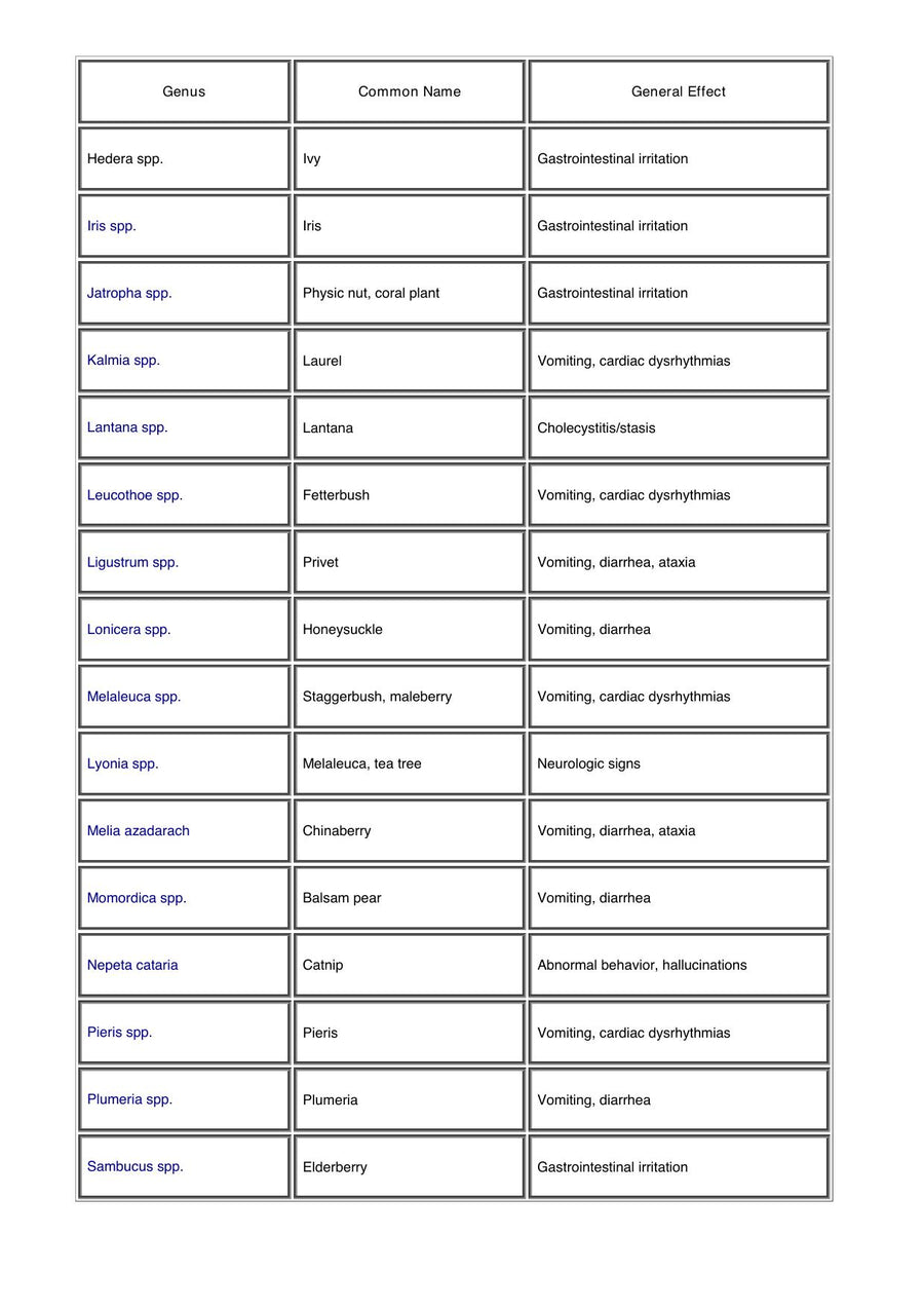 Preview page of A Guide to Poisonous House and Garden Plants