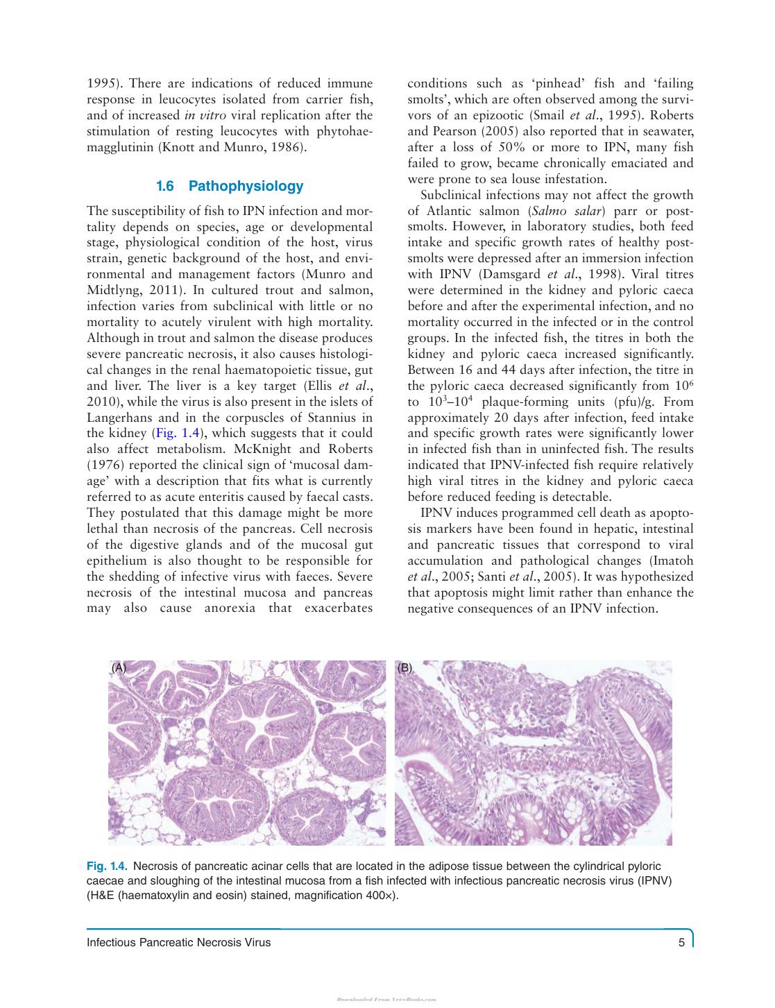 Fish Viruses And Bacteria Pathobiology And Protection