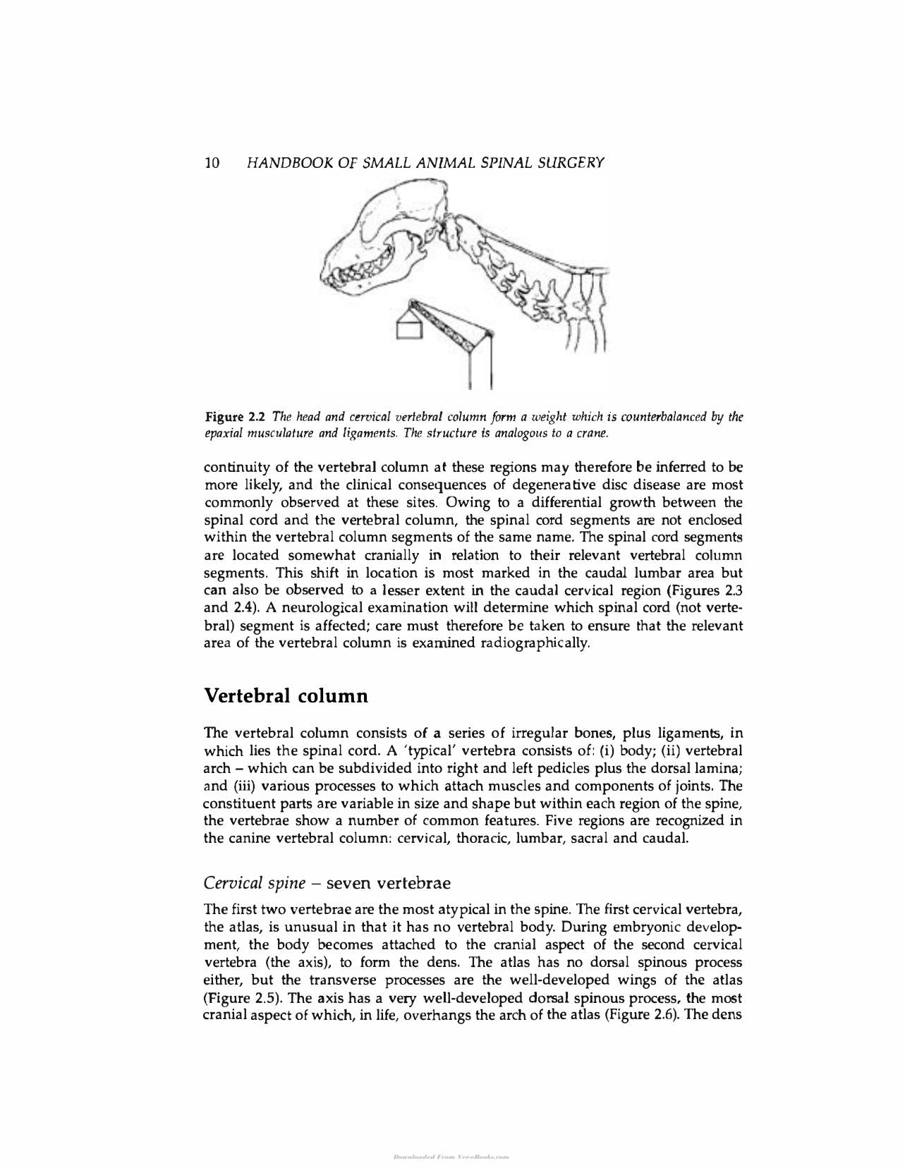 Handbook Of Small Animal Spinal Surgery