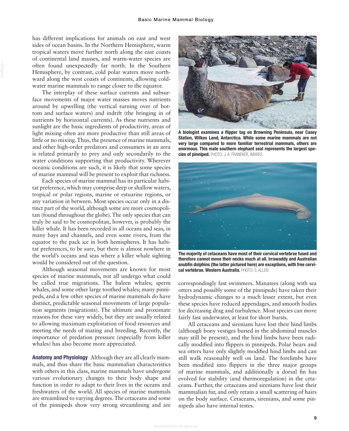 Marine Mammals Of The World A Comprehensive Guide To Their Identification 2Nd Edition