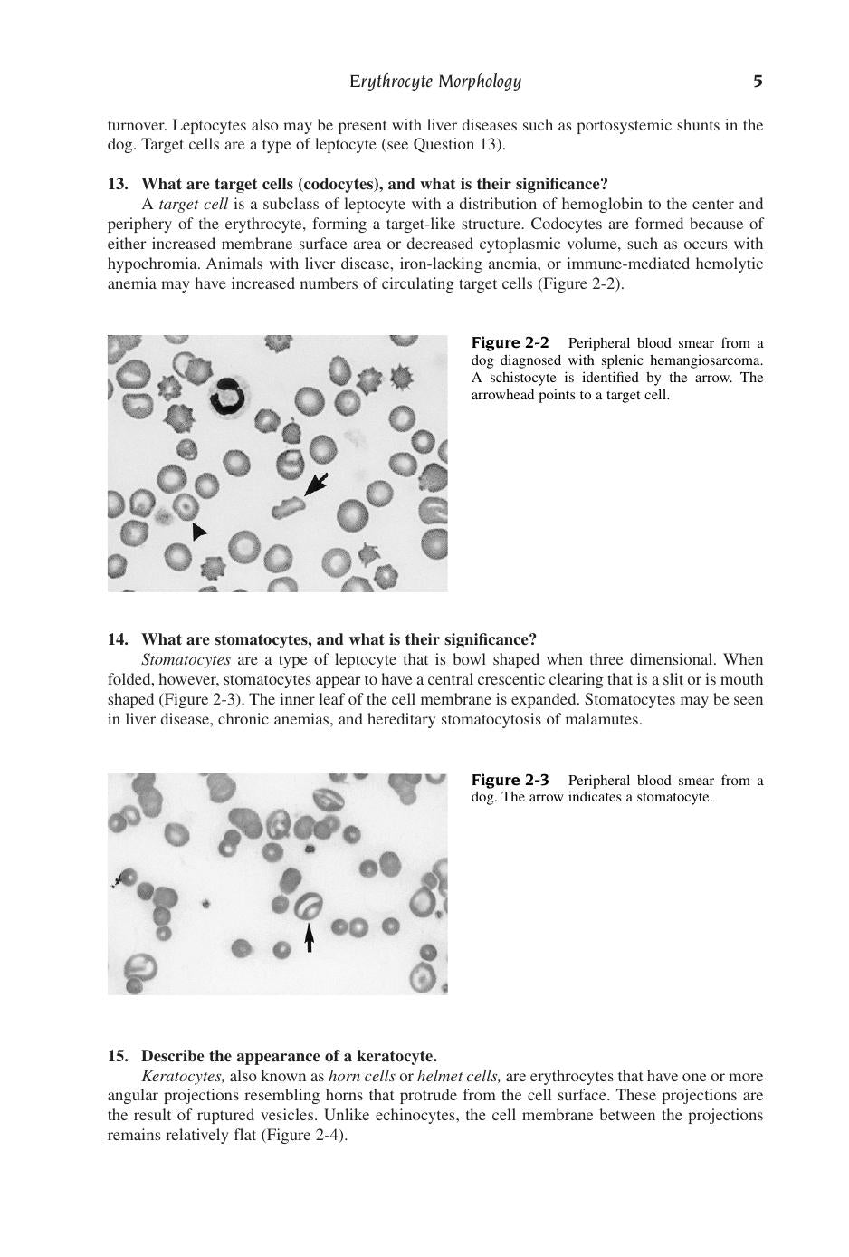 Look inside — page 18