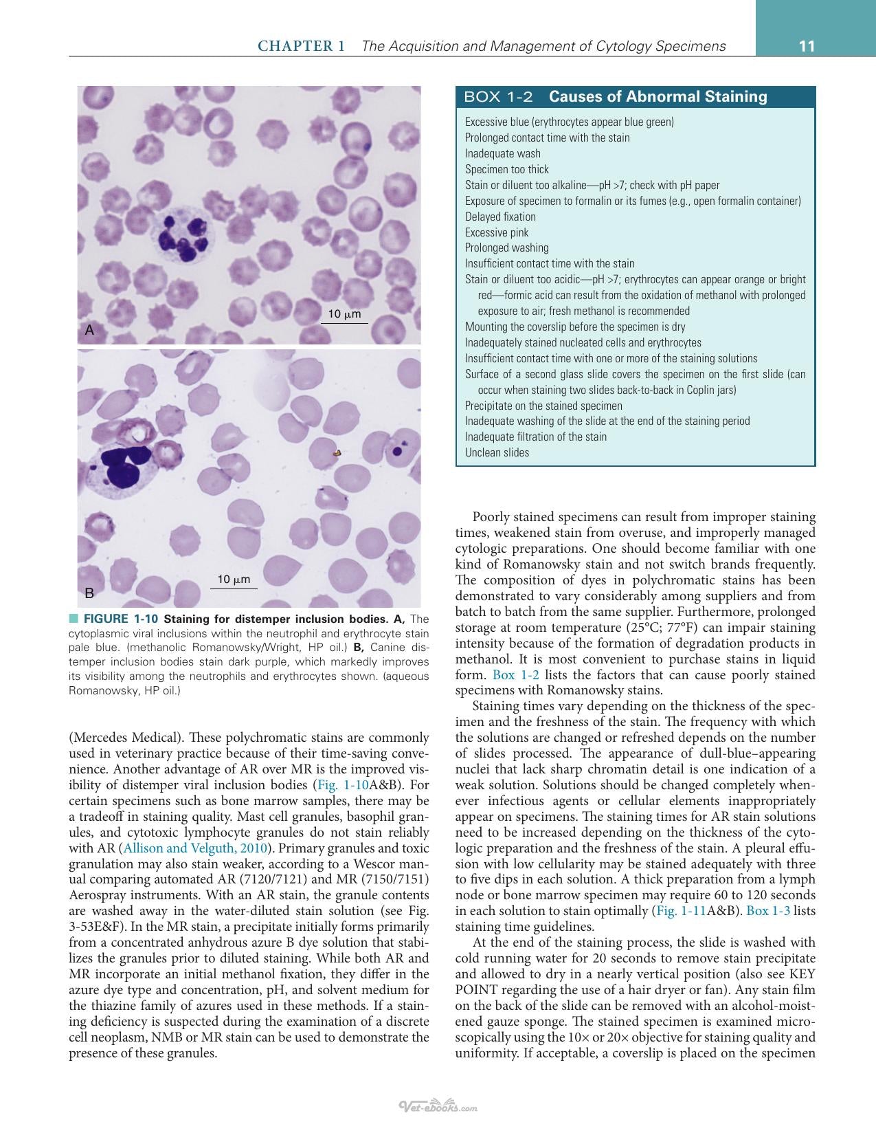Canine And Feline Cytology A Color Atlas And Interpretation Guide 3Rd Edition