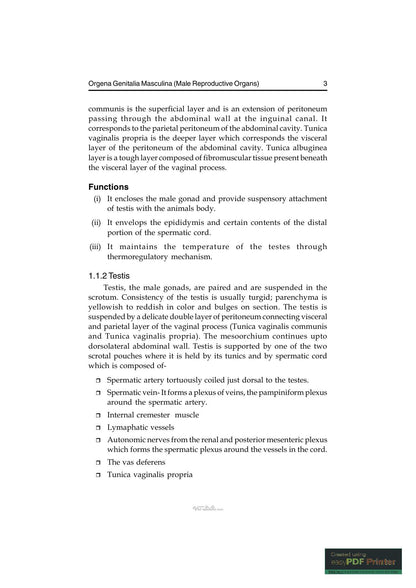 Applied Veterinary Andrology and Frozen Semen Technology