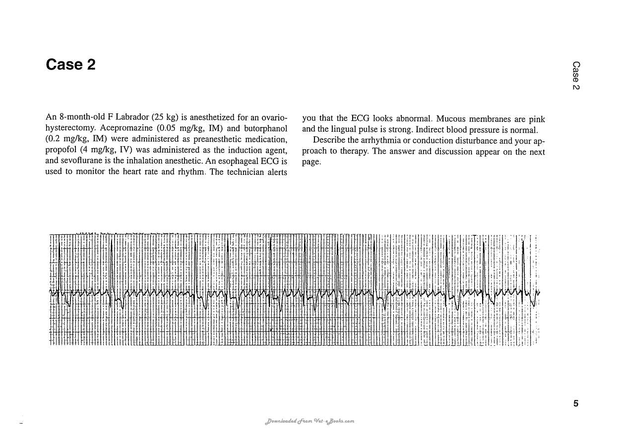 Ecg Interpretation In The Critically Ill Dog And Cat