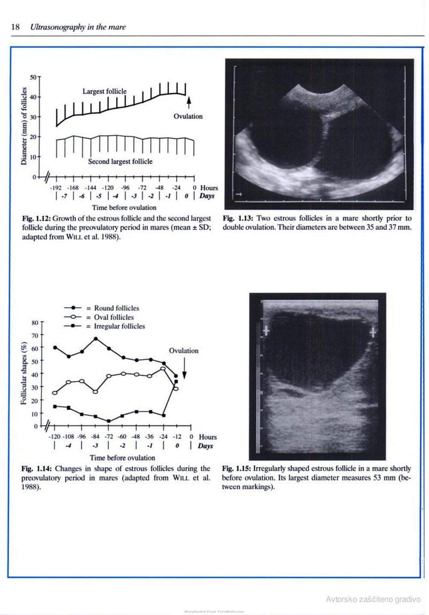 Veterinary Reproductive Ultrasonography