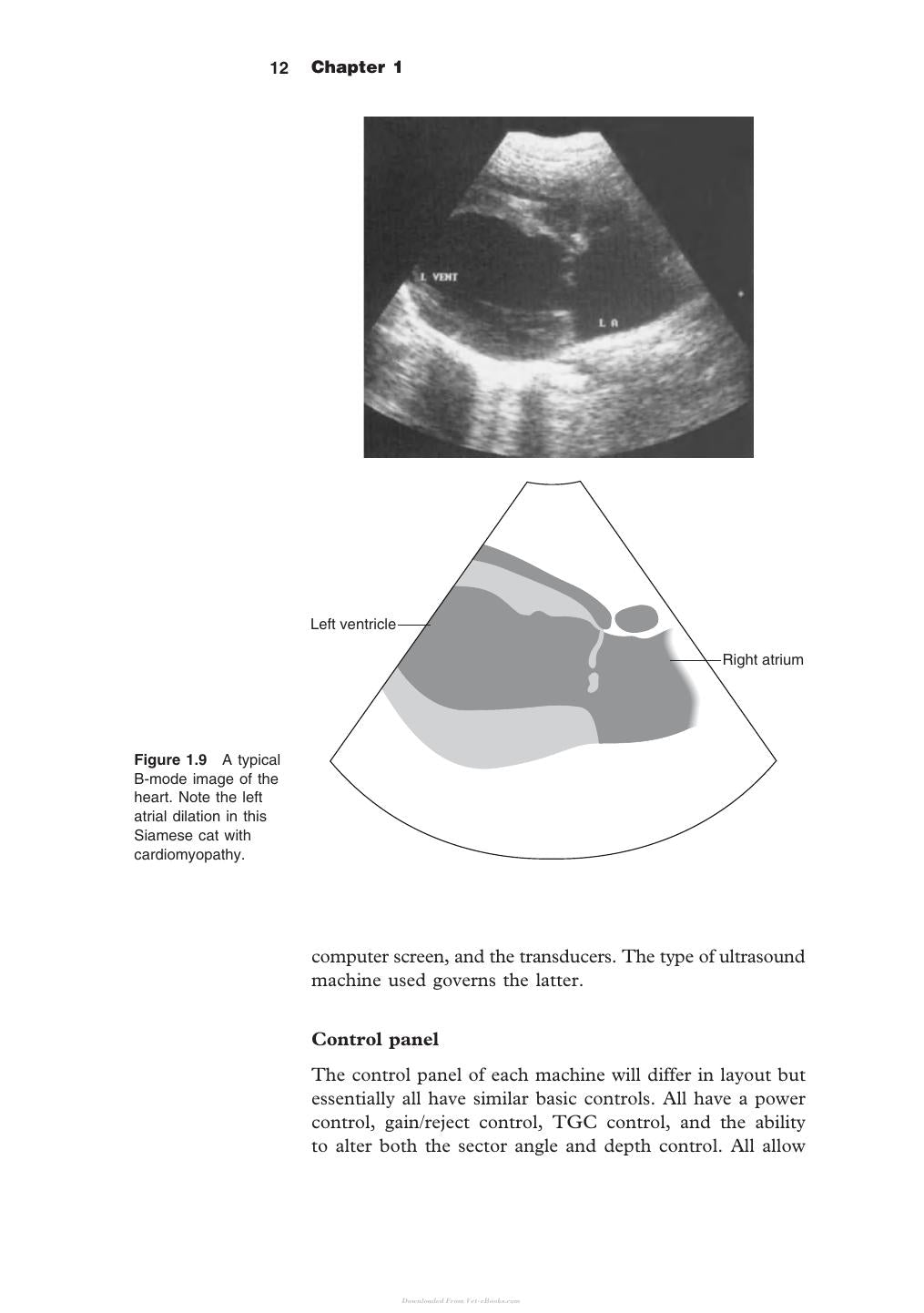 Diagnostic Ultrasound In Small Animal Practice