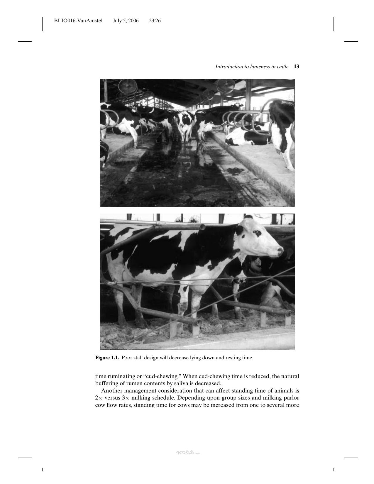 Manual For Treatment And Control Of Lameness In Cattle