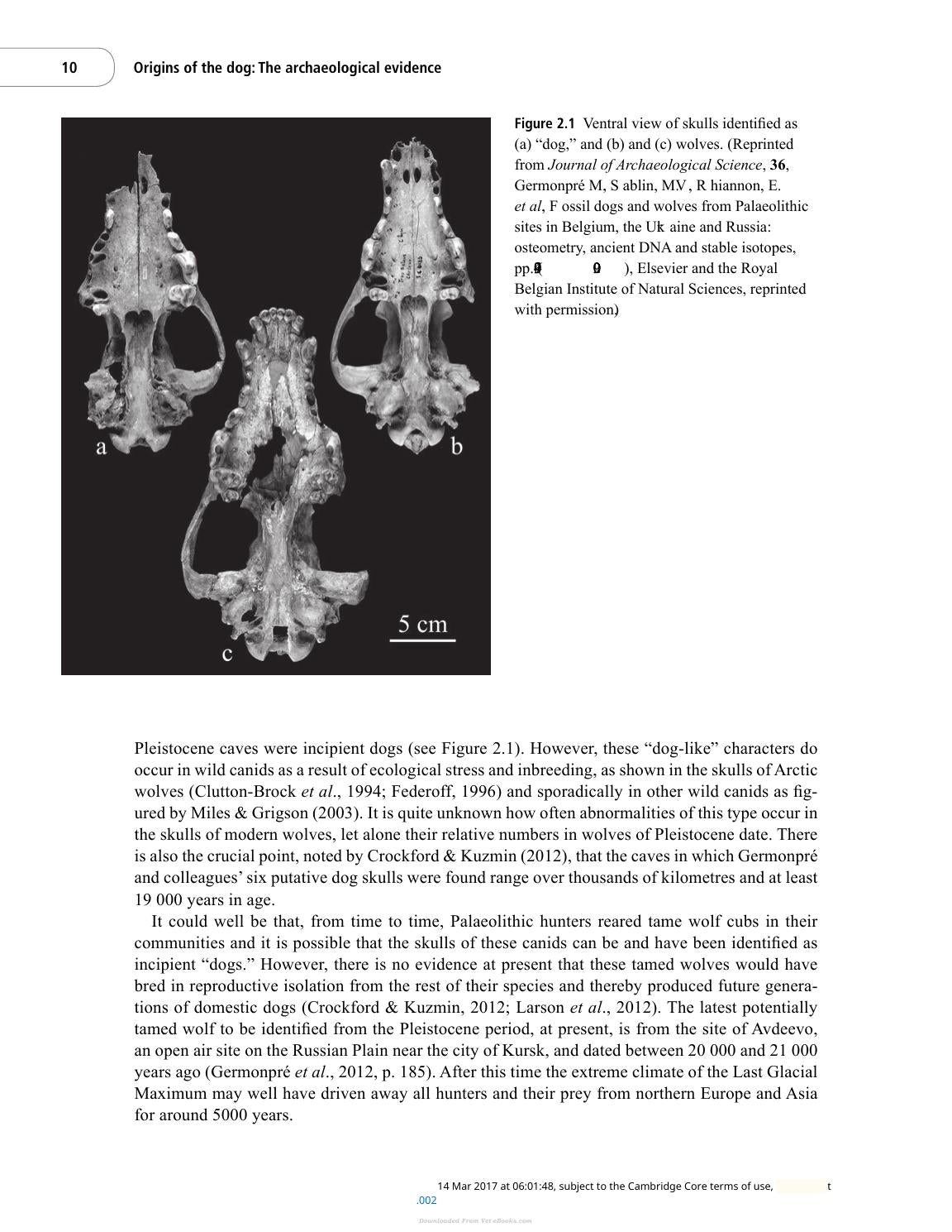 The Domestic Dog Its Evolution Behavior And Interactions With People 2Nd Edition