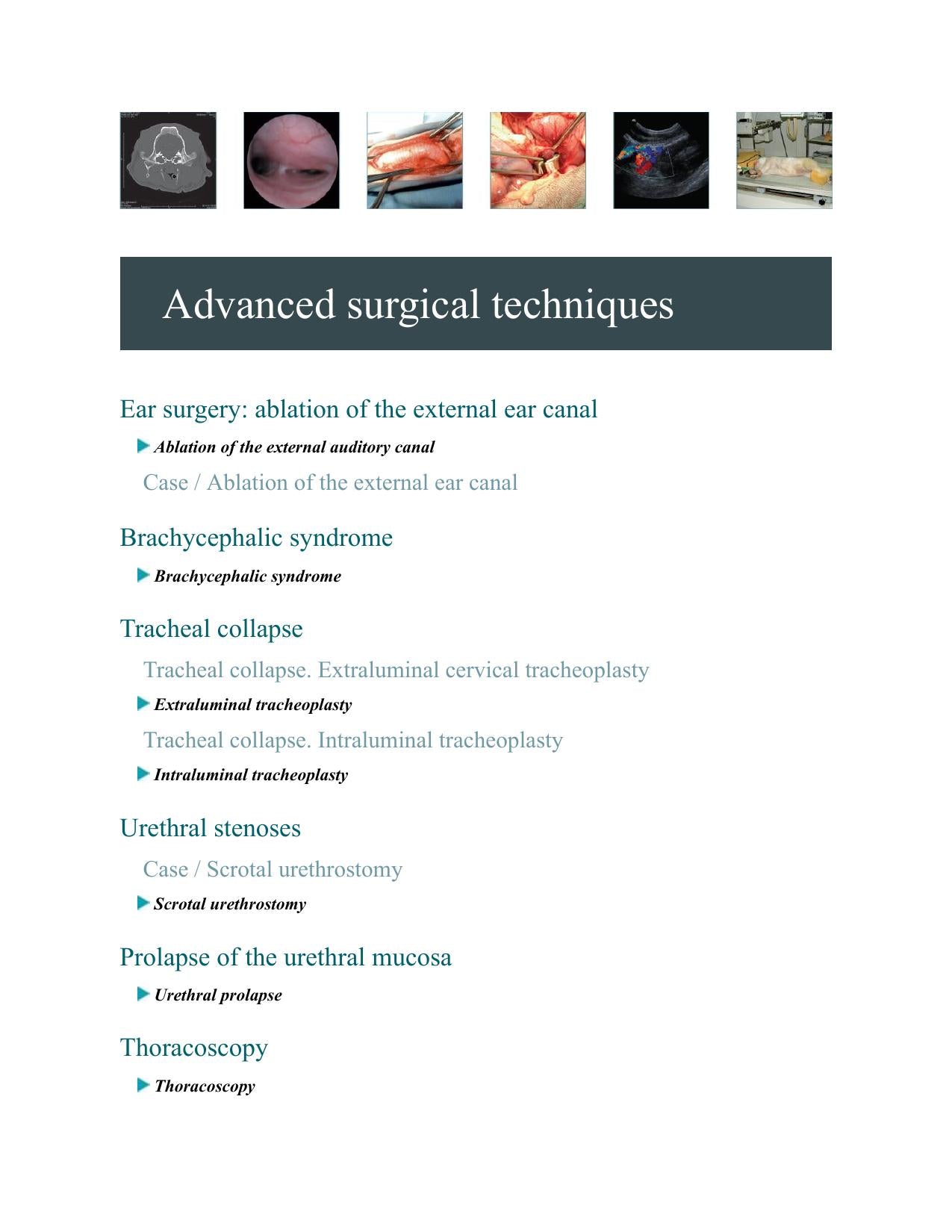 Small Animal Surgery A Step By Step Guide Surgical Technique