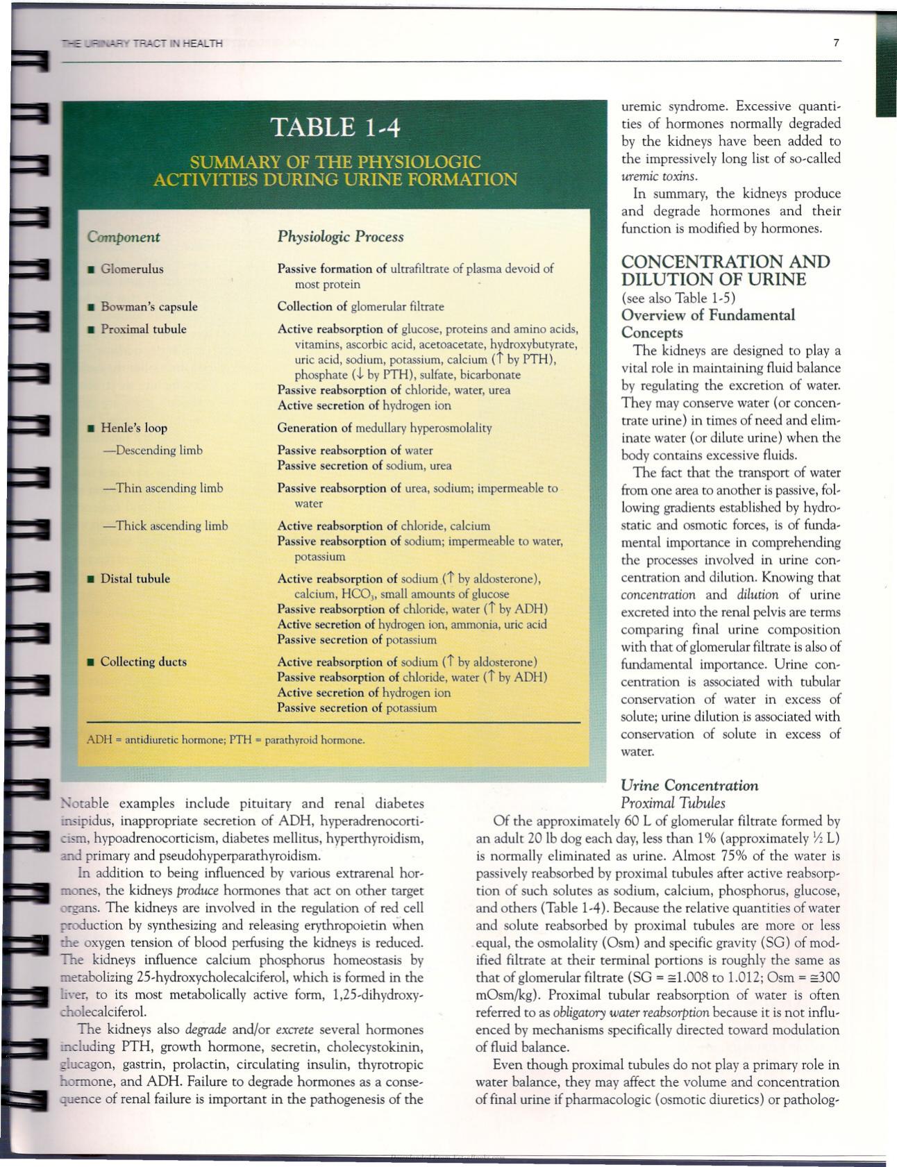 Urinalysis A Clinical Guide To Compassionate Patient Care