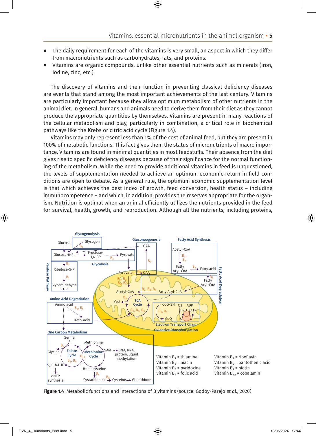 Optimum Vitamin Nutrition For More Sustainable Ruminant Farming