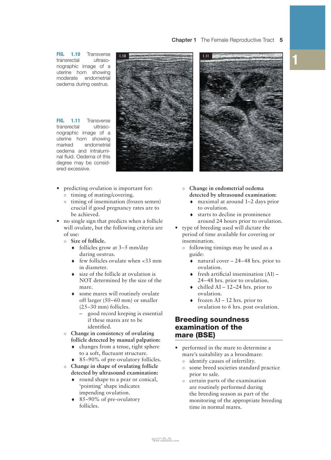 Concise Textbook Of Equine Clinical Practice Book 2 Reproduction And The Foal