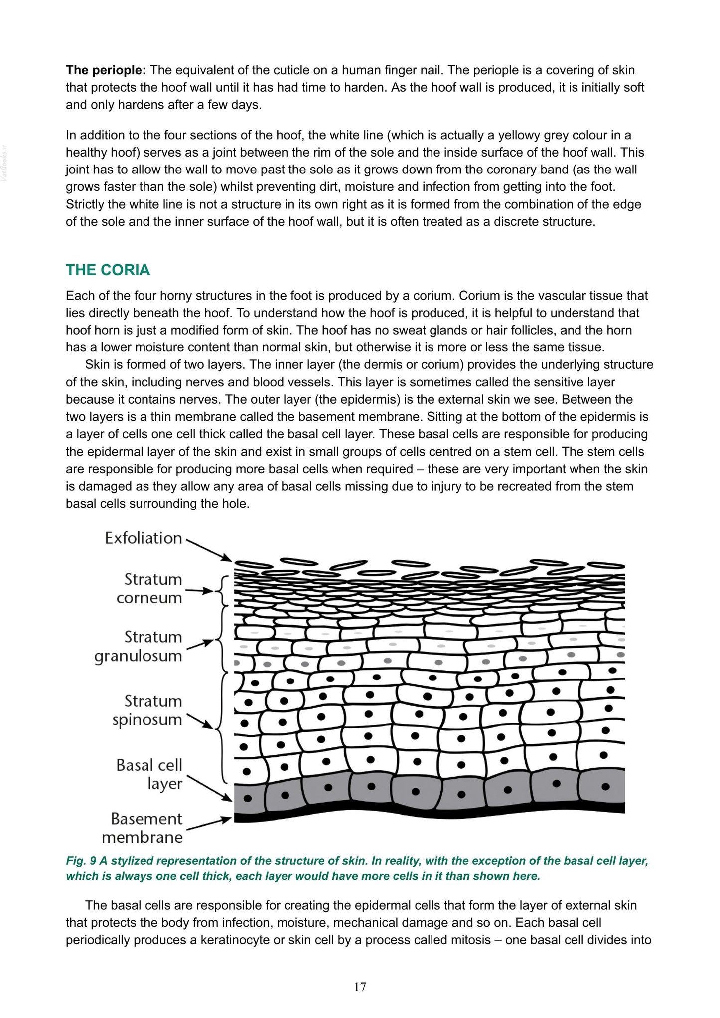 Look inside — page 18