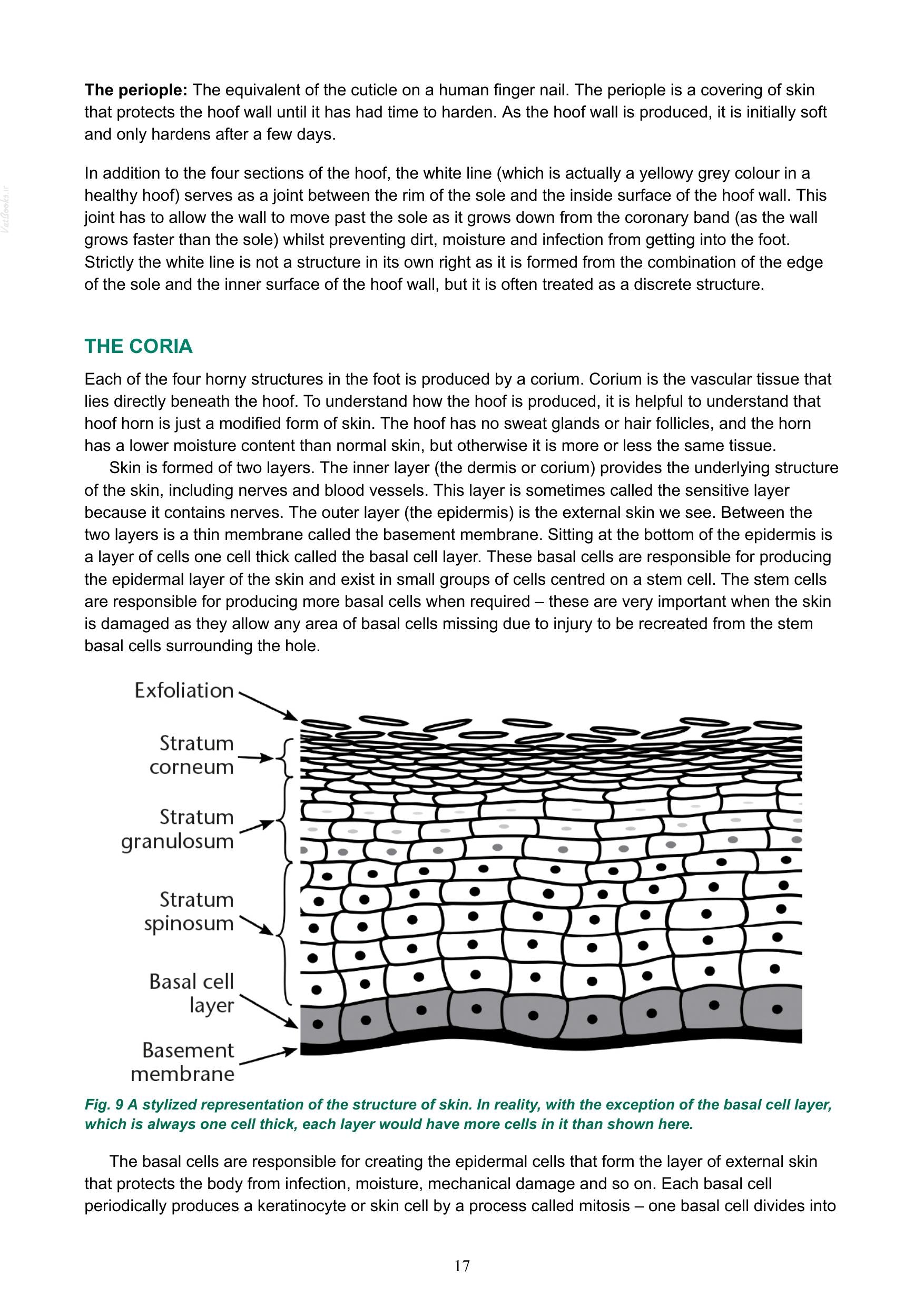Look inside — page 18