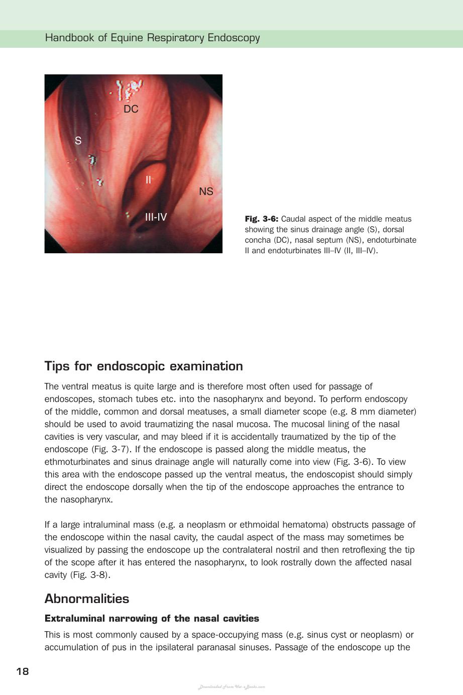 Handbook Of Equine Respiratory Endoscopy