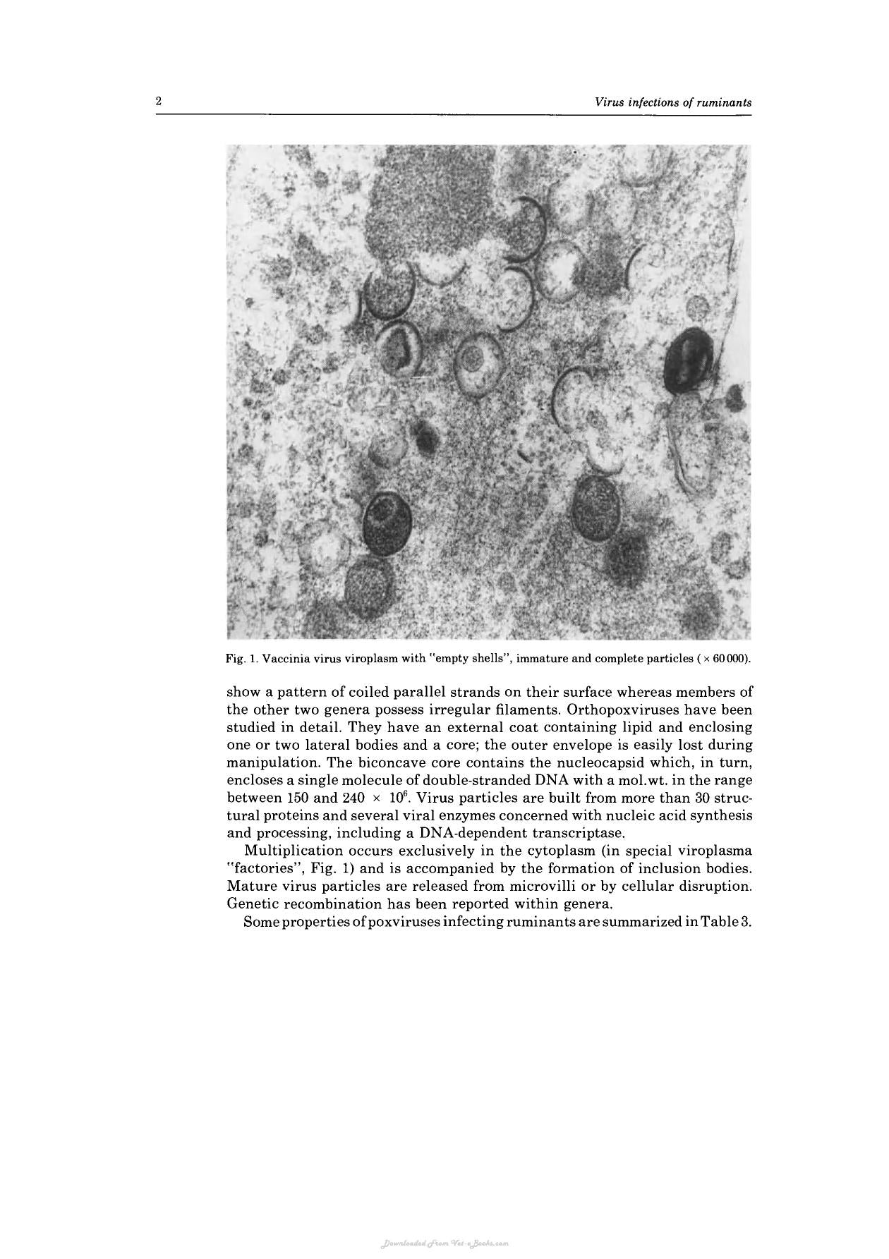 Virus Infections Of Ruminants