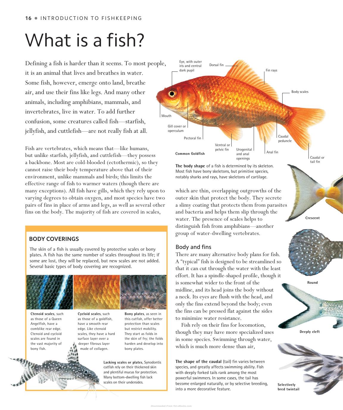 Encyclopedia Of Aquarium And Pond Fish