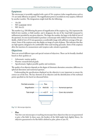 Differential Diagnosis in Small Animal Cytology