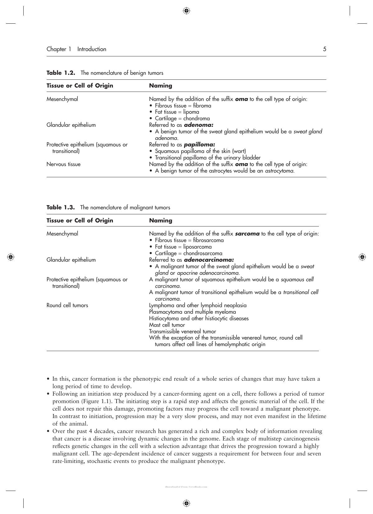 Decision Making In Small Animal Oncology