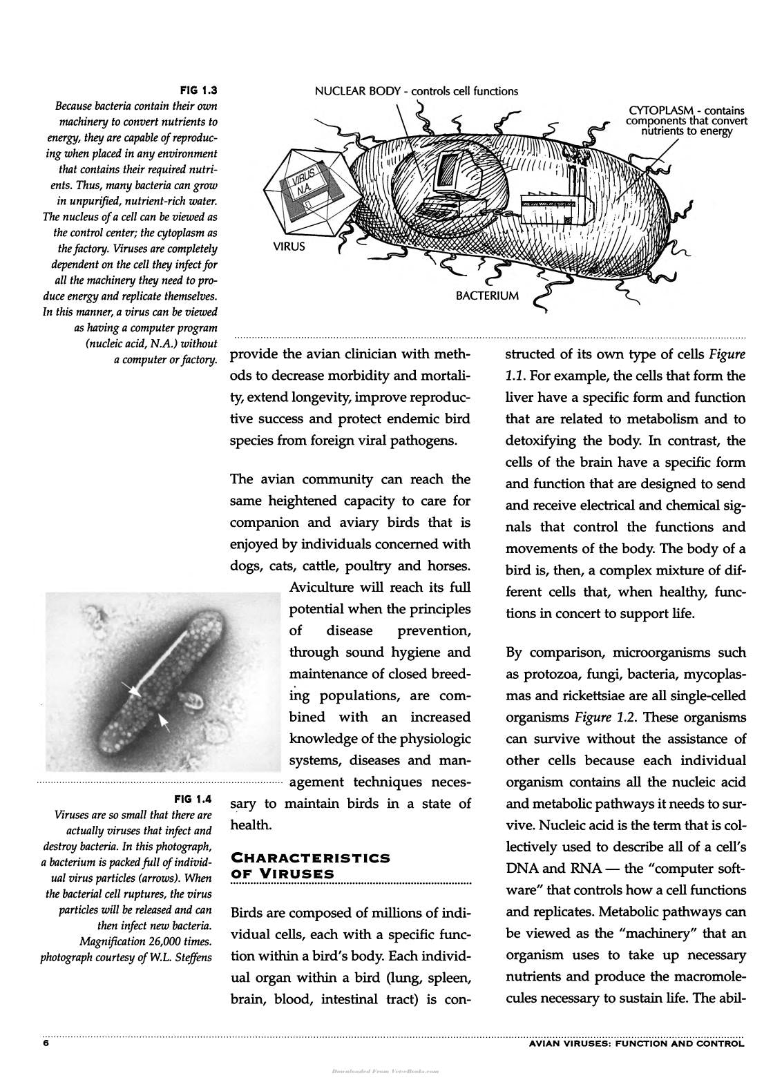 Avian Viruses Function And Control