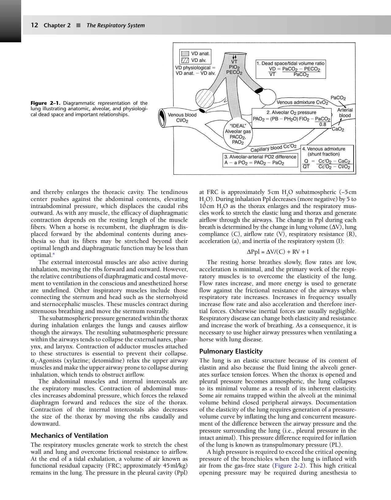 Equine Anesthesia Monitoring And Emergency Therapy