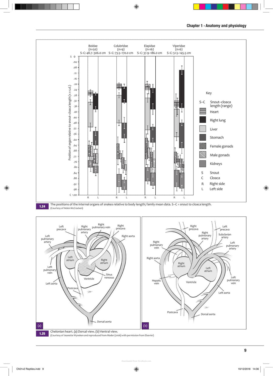 Preview page of Bsava Manual of Reptiles 3rd Edition