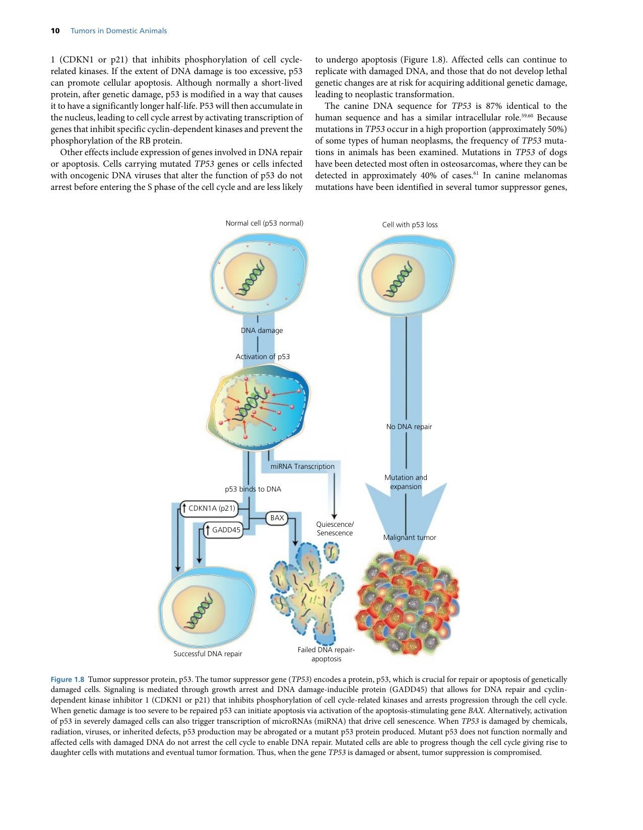 Look inside — page 18