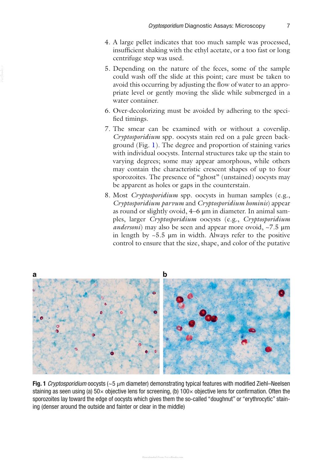 Cryptosporidium Methods And Protocols