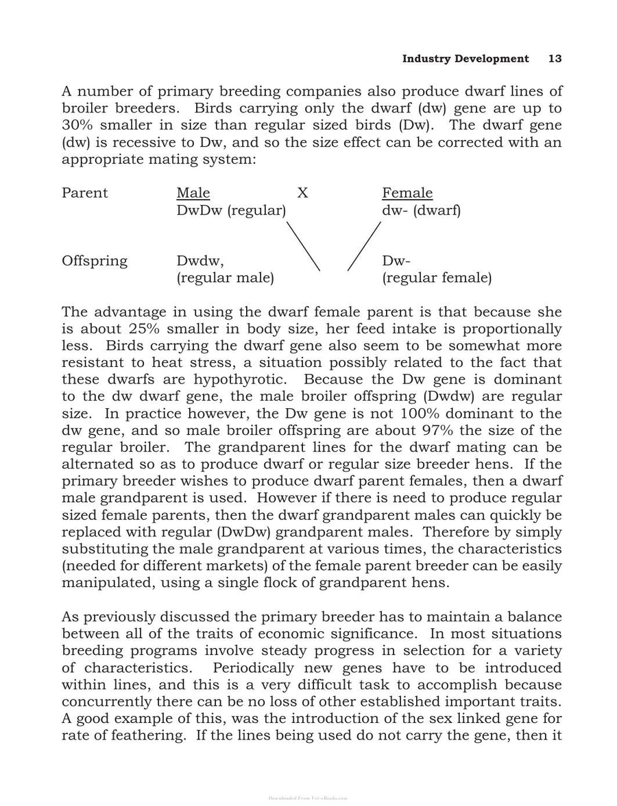 Preview page of Broiler Breeder Production