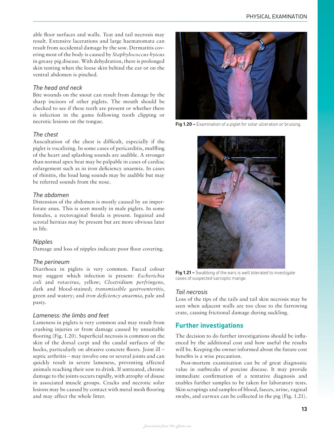 Handbook Of Pig Medicine