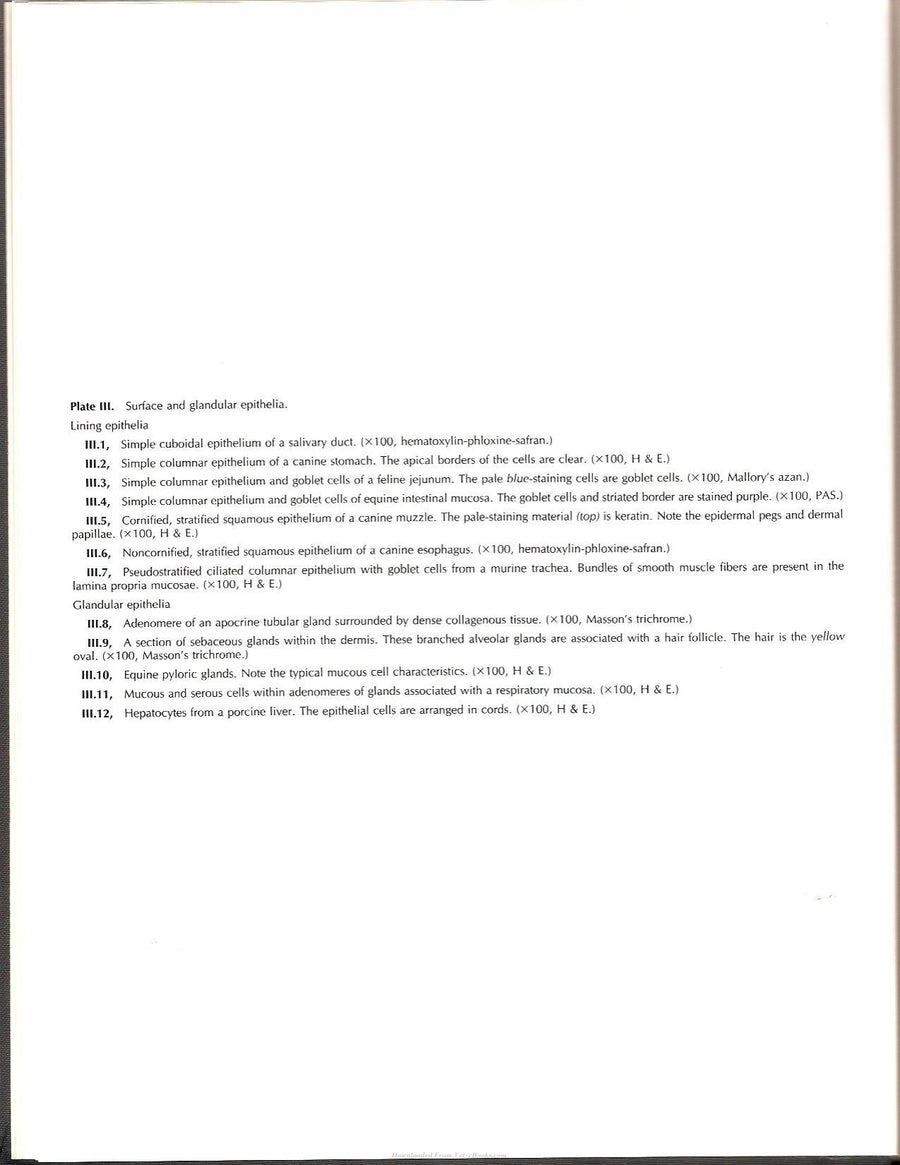 Preview page of Applied Veterinary Histology 3rd Edition