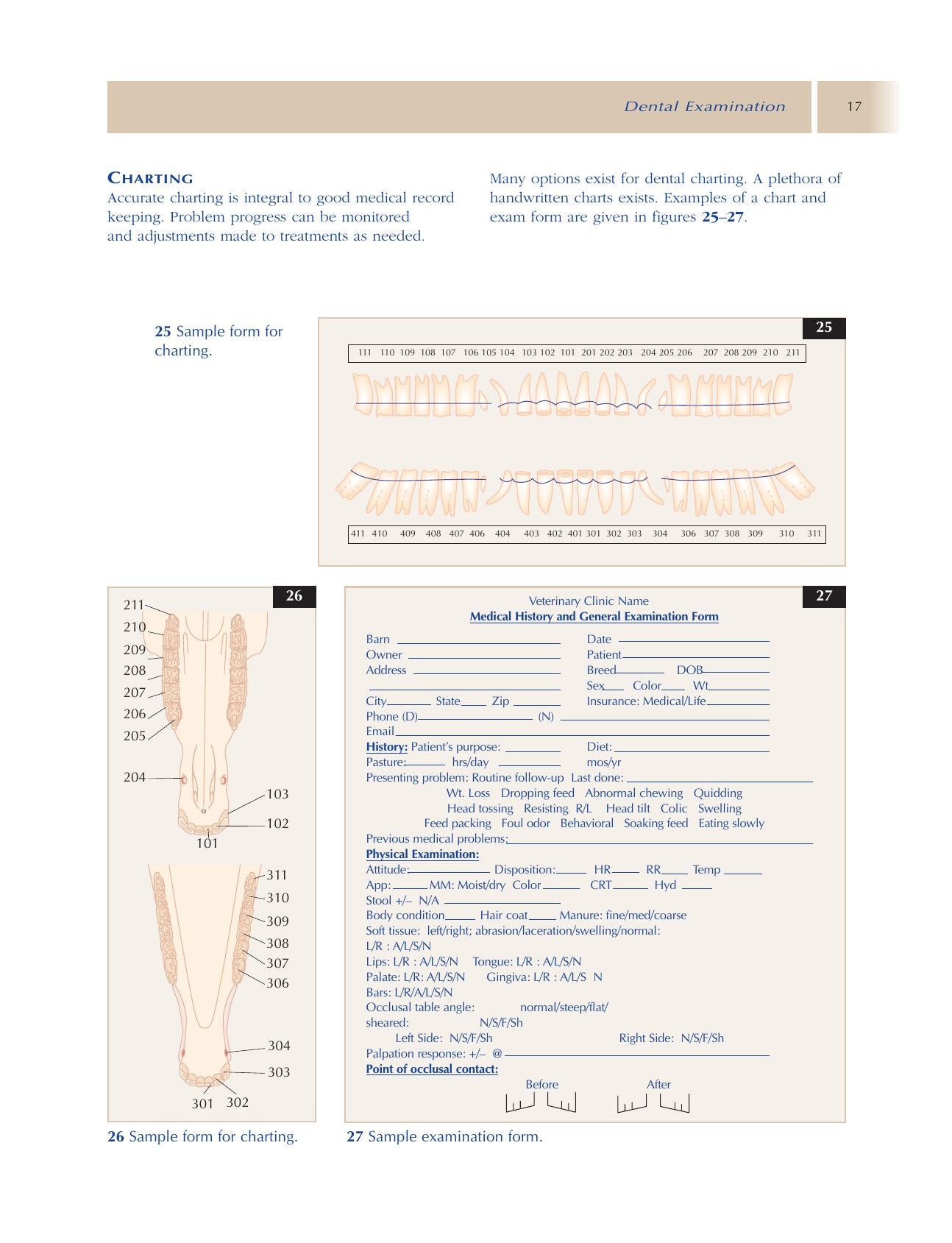 Principles Of Equine Dentistry