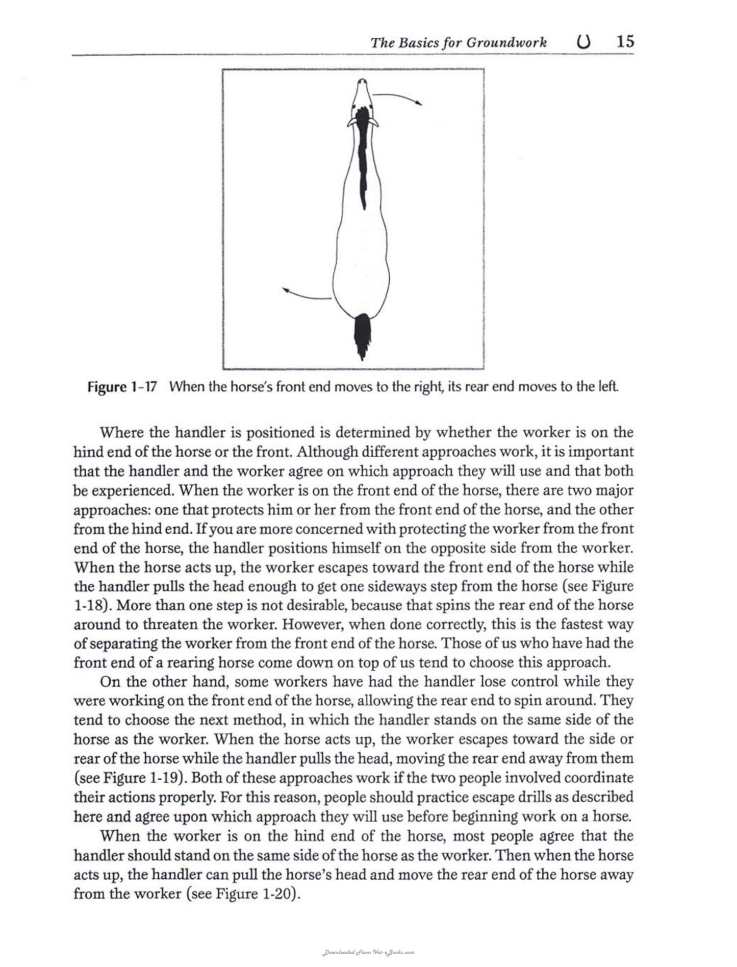 Equine Safety