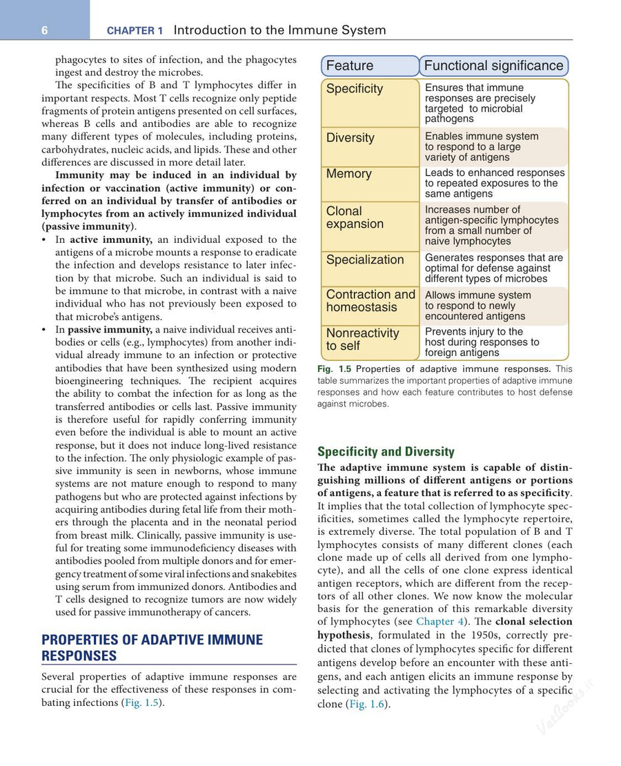 Preview page of Basic Immunology: Functions and Disorders of the Immune System 6th Edition