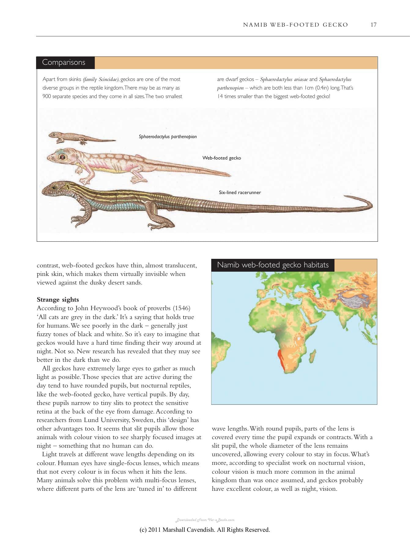 Atlas Of The Worlds Strangest Animals