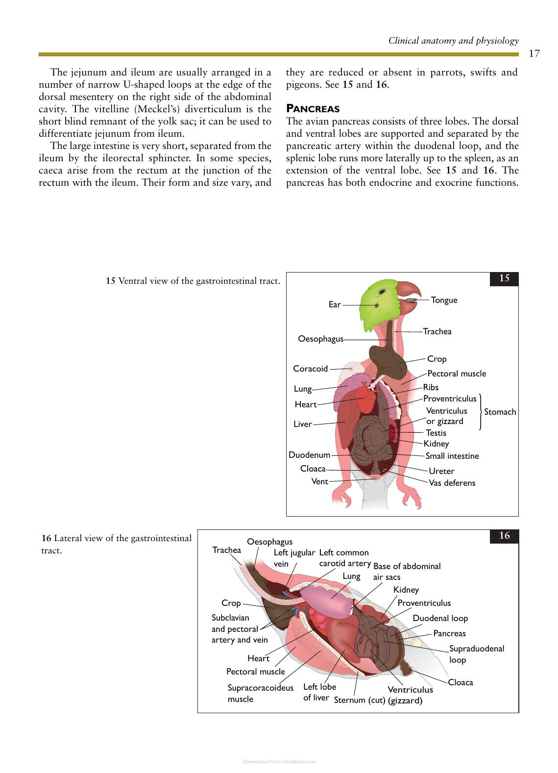 Look inside — page 18