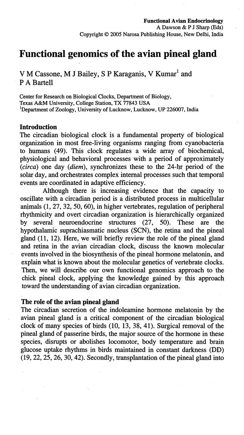 Preview page of Functional Avian Endocrinology