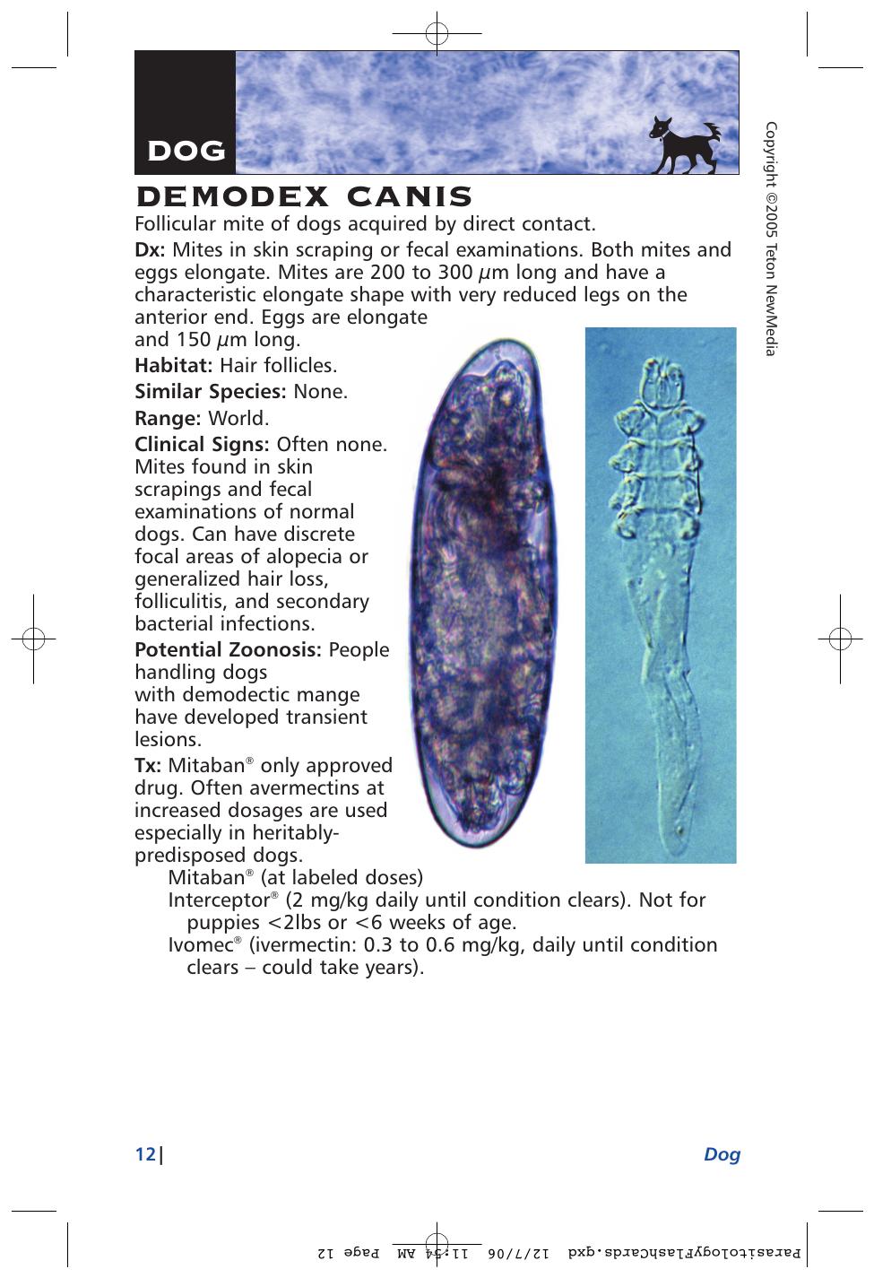 Parasitology Diagnosis And Treatment Of Common Parasitisms In Dogs And Cats